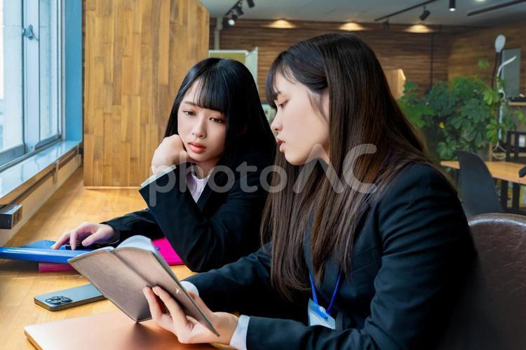 仲良く話をする二人のビジネスウーマン 女性,ビジネス,ビジネスウーマンの写真素材