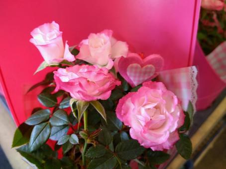 ミニバラの写真