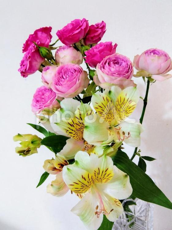きれいな彩りの花たち 切り花,花束,バラの写真素材