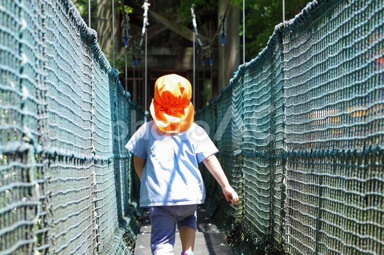 吊り橋を渡る男の子 吊り橋,縄,男の子の写真素材