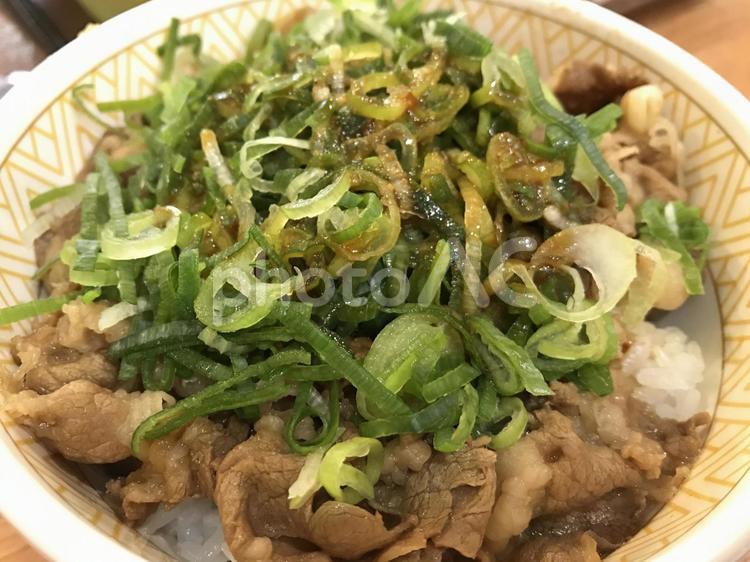 牛丼　イメージ 牛丼,牛肉,ネギの写真素材