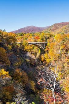 鳴子峡の秋-Vol.4⑼の写真