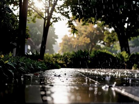 雨 雨の写真