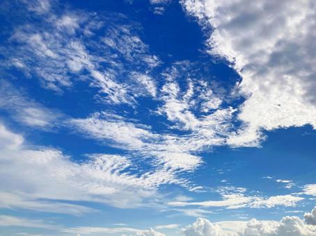 夏空 夏空の写真