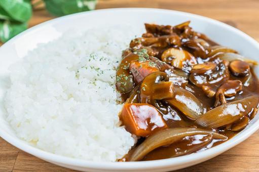 白皿に盛られたハヤシライス 白皿に盛られたハヤシライス ハヤシライス,ご飯,皿の写真素材