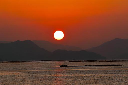 廿日市市 牡蛎筏に朝日が昇る-5 廿日市市 牡蛎筏に朝日が昇る-5 朝日,朝焼け,海の写真素材