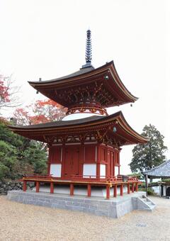 善峯寺　多宝塔 善峯寺,多宝塔,重要文化財の写真素材