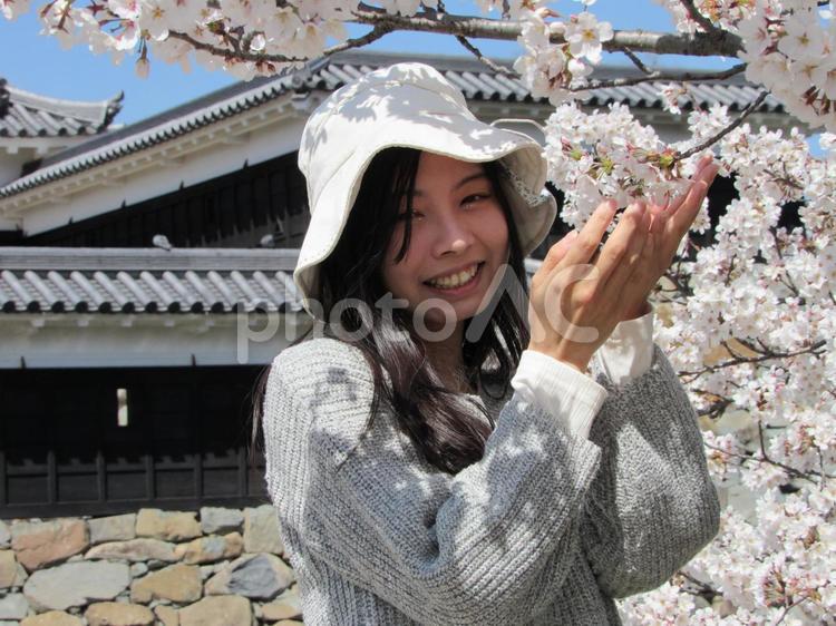 桜映え 女性,女の子,若いの写真素材