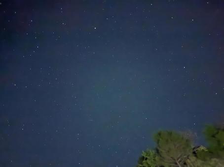 夜空を見上げて 夜空を見上げて 夜,空,夜空の写真素材