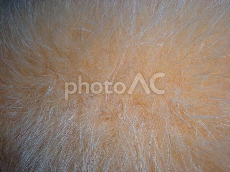 フェイクファー　薄オレンジ フェイクファー,ファー,毛の写真素材