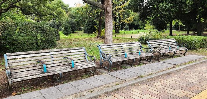 大阪市立長居公園 ベンチ 大阪市立長居公園 ベンチ 大阪市立長居公園,公園,椅子の写真素材