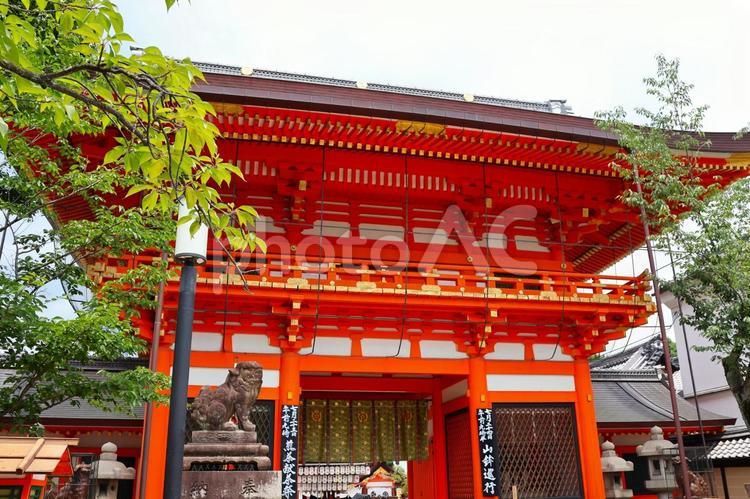 ７月中旬の京都祇園祭の八坂神社 背景,八坂神社,神社の写真素材