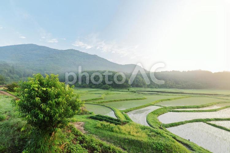 のどかな春の田園風景 のどか,田園,風景の写真素材