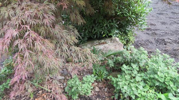 壬申の乱 大海人皇子 沓脱石 壬申の乱 大海人皇子 沓脱石の写真