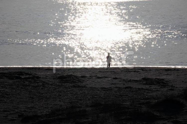 海辺で釣りをする人　その3 釣り,朝,朝日の写真素材