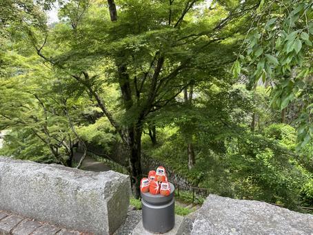 勝尾寺 勝尾寺の写真