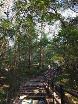 山の中 山の中 山の中,階段,元宇品公園の写真素材