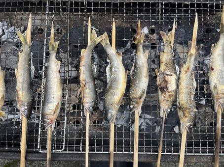 鮎の塩焼き 鮎の塩焼きの写真