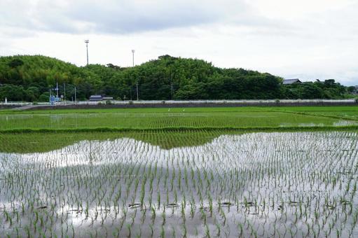Rural landscape, JPG Rural landscape, JPG