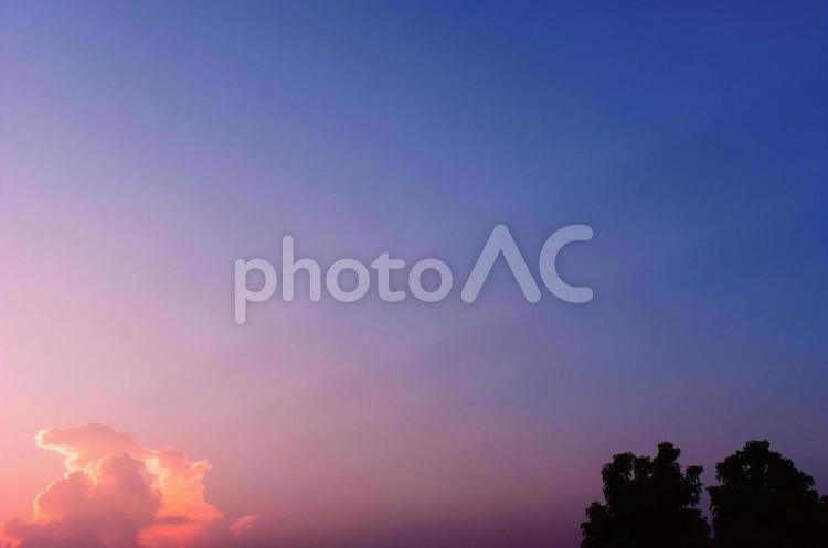 淡いパープルの空と薄明光線 薄明光線,夕方,夕空の写真素材