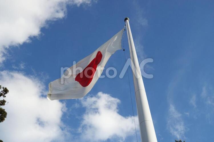 出雲大社境内に掲揚されている日本国旗 出雲,出雲大社,日本国旗の写真素材