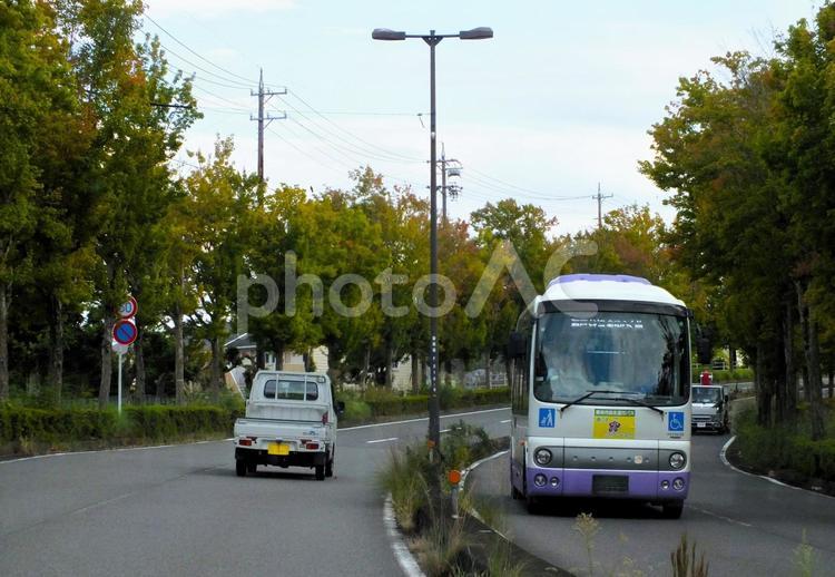 市自主運行バスと軽トラック　紅葉の街路樹 街路樹,バス,自主運行バスの写真素材