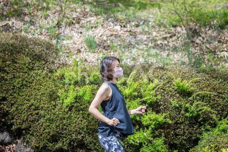 ジョギング・ランニング・ウォーキングする女性（マスク） 運動,有酸素運動,ランニングの写真素材