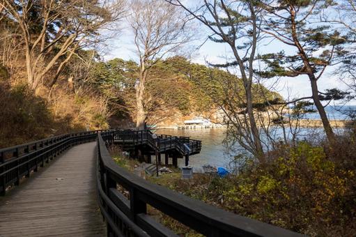 水際に沿って設置された木製の遊歩道 水際に沿って設置された木製の遊歩道 山,冬,風景の写真素材