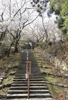 Photo, mitsuji, sonojoji, approach, 