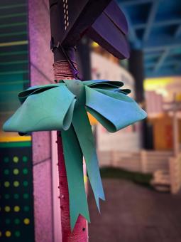 Photo, ribbon, faded, obsolete, 