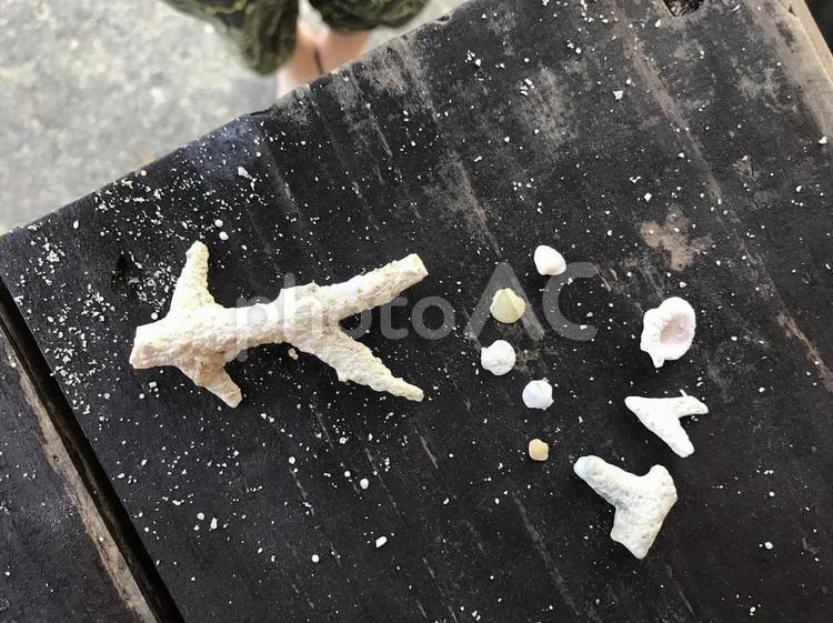 かいがらの文字 貝殻,サンゴ,自然の写真素材