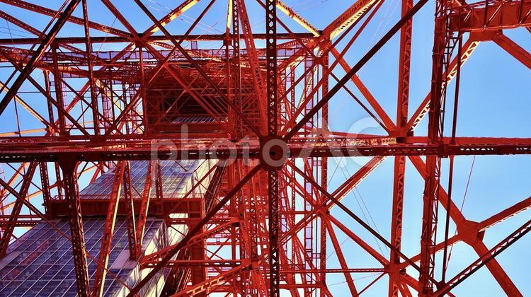 東京タワーのフレーム 東京タワー,タワー,ランドマークの写真素材