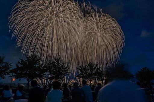 長岡まつり大花火大会 長岡まつり,大花火大会,花火の写真素材