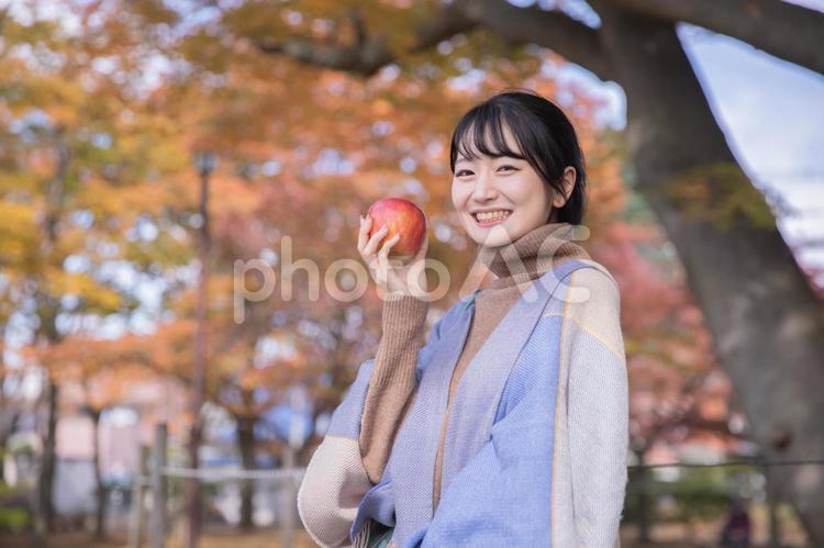 秋の公園でりんごを食べる女性 りんご,秋,女性の写真素材