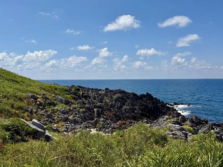 福井県東尋坊雄島島内の景色 福井県東尋坊雄島島内の景色 雄島,獣道,小道の写真素材