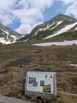 雪の残る山 雪の残る山の写真