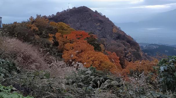 魚沼スカイラインの紅葉 魚沼スカイライン,紅葉,護国観音苑の写真素材