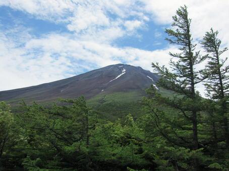 夏の富士山 夏の富士山の写真