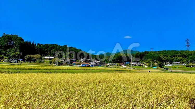 田園風景 田園,田園風景,風景の写真素材