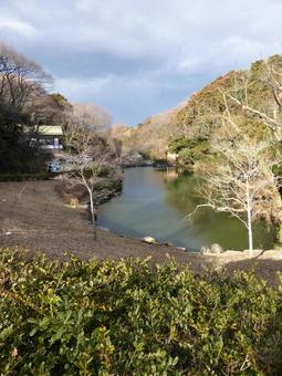 2月、早春の鎌倉中央公園・上池を見る 2月、早春の鎌倉中央公園・上池を見る 鎌倉中央公園,鎌倉市,神奈川県の写真素材