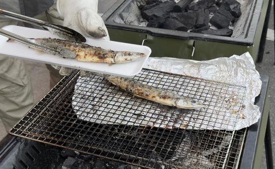 秋の魚 さんま バーベキューの炭焼き 秋の魚 さんま バーベキューの炭焼き さんま,秋刀魚,秋の写真素材