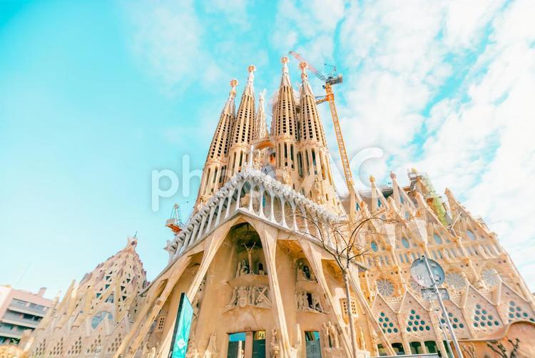 【スペイン】サクラダファミリア スペイン,バルセロナ,サクラダファミリアの写真素材
