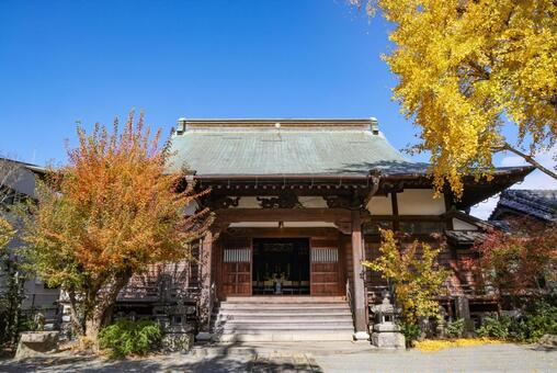 秋の円立寺 円立寺,圓立寺,浄土真宗の写真素材