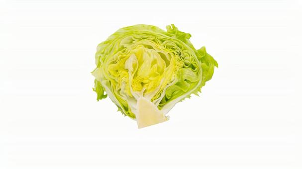 レタス（背景透過） レタス,野菜,食材の写真素材
