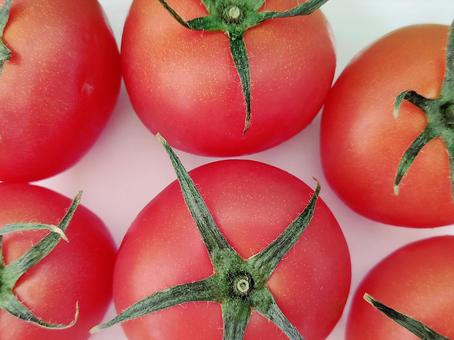 Summer vegetables tomato 005, tomato, tomato, mini tomato, JPG