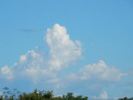【風景写真】夏空 【風景写真】夏空の写真