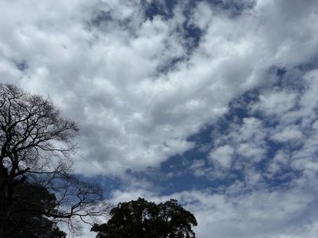 空 空の写真