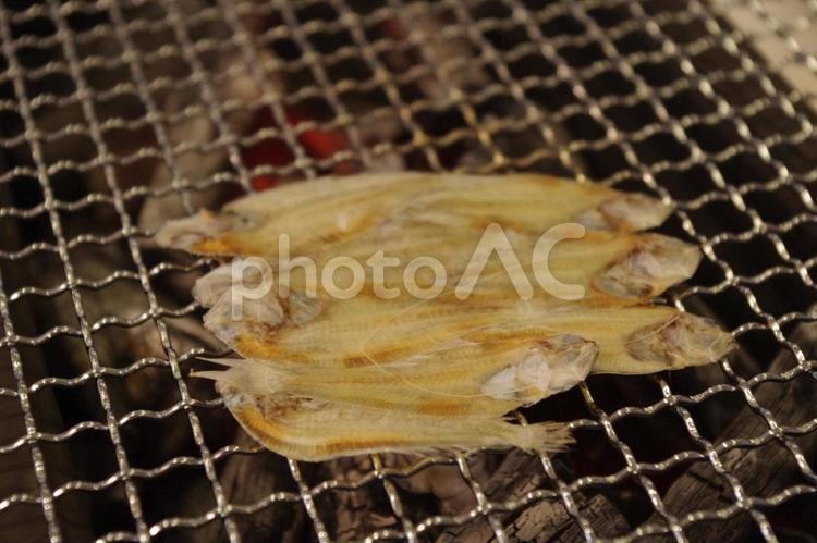 香ばしさに包まれて｜よろいかれい(鎧鰈) 鎧鰈,よろいかれい,干物の写真素材