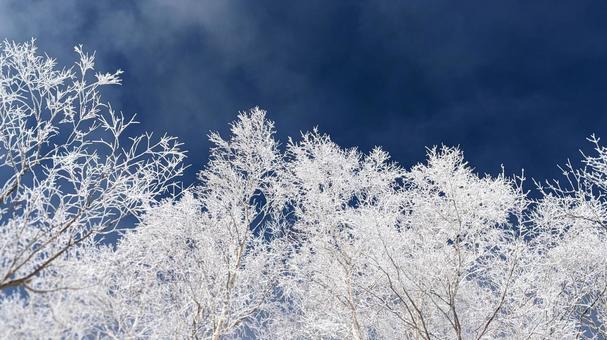 北海道の樹氷 冬景色 自然  樹氷,雪山,冬景色の写真素材