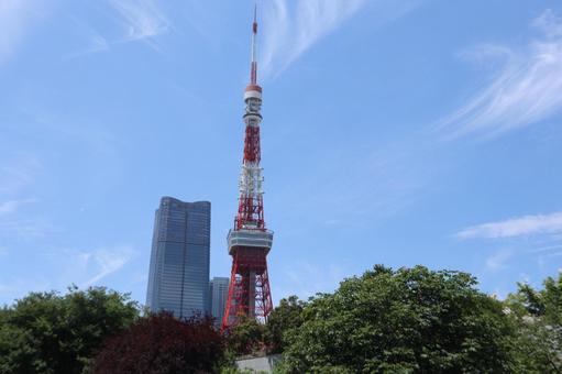 浜松町 街並み 浜松町 街並み 浜松町,オフィス街,街並みの写真素材